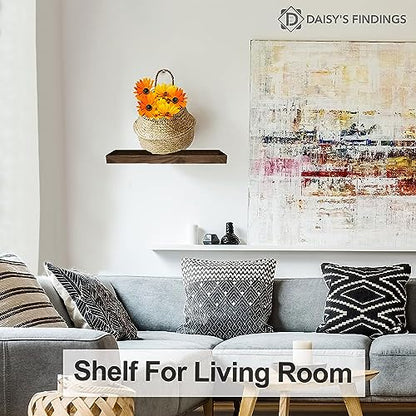 Small Floating Shelf for Wall | Mini Shelf for Bedroom, Living Room and Kitchen, Rustic